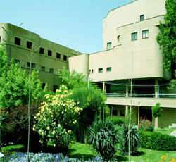 AWT IMAGE